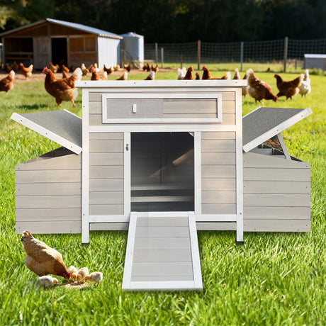 Large Chicken Coop Outdoor Hen House With Dual Nesting Boxes