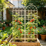 Metal Garden Rustproof Trellis For Climbing Plants Outdoor Flower Support