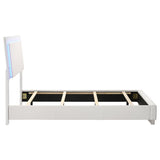 Felicity Wood Twin LED Panel Bed White High Gloss - 203500T