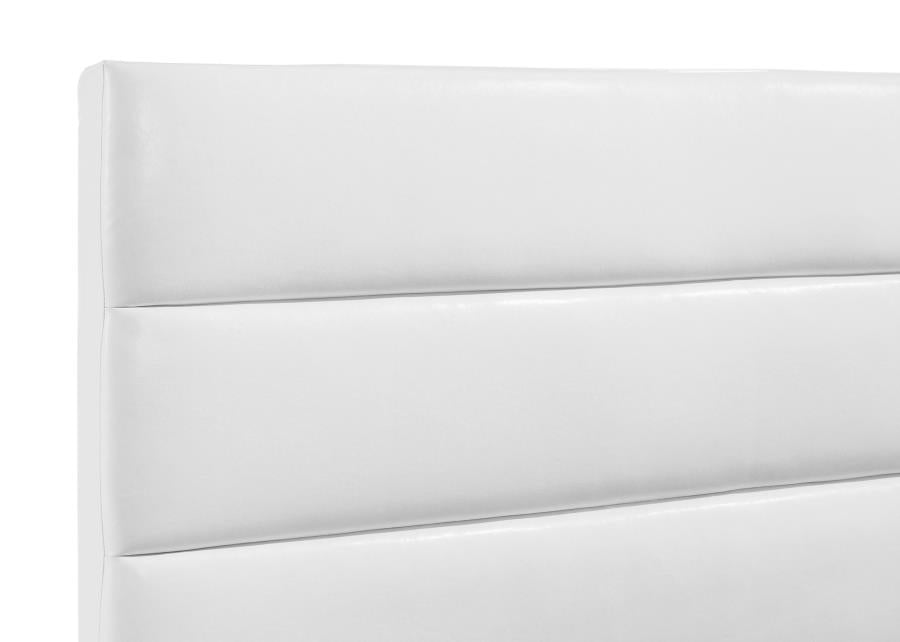 Felicity 53-inch Upholstered Queen Platform Bed White - 203511Q