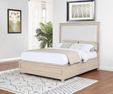 Pembroke 66-inch Queen Panel Bed Washed Oak - 215921Q