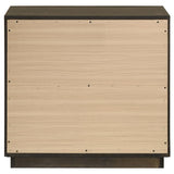 Atlas 2-drawer Bedroom Nightstand Bedside Table Dark Oak - 215972