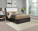 Leandro 55-inch Queen Wingback Bed Burnished Black - 222491Q