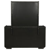 Leandro 8-drawer Bedroom Dresser with Mirror Burnished Black - 222493M