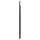 Leandro 76-inch Full Length Floor Mirror Burnished Black - 222498