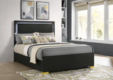 Marceline Wood Full LED Panel Bed Black - 222831F