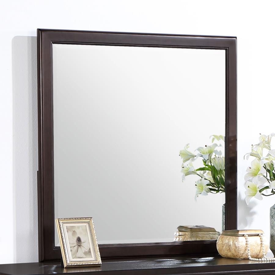 Emberlyn Dresser Mirror Brown - 223064