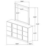Ines 6-drawer Bedroom Dresser with Mirror White High Gloss - 223093M