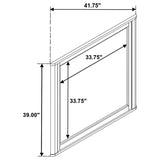 Leanne Dresser Mirror Light Oak - 223134