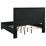 Ravenne Velvet Upholstered Eastern King LED Panel Bed Black - 223191KE