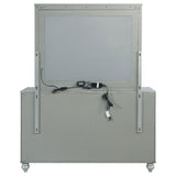 Gunnison 6-drawer Dresser with Mirror Silver Metallic - 223213M