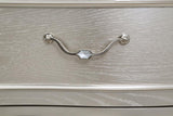 Evangeline 5-piece Queen Bedroom Set Silver Oak - 223391Q-S5