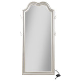 Evangeline Full Length LED Light Floor Mirror Silver Oak - 223400