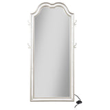 Evangeline Full Length LED Light Floor Mirror Silver Oak - 223400
