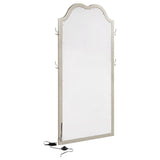 Evangeline Full Length LED Light Floor Mirror Silver Oak - 223400