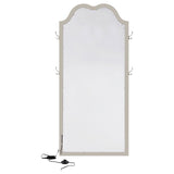 Evangeline Full Length LED Light Floor Mirror Silver Oak - 223400