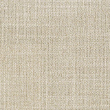 Arini 56-inch Queen Panel Bed Cream and Black - 224331QCRM