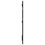 Arini Cane Weave Full Length Standing Floor Mirror Black - 224339