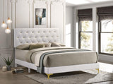 Kendall Upholstered Queen Panel Bed White - 224401Q