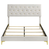Kendall Upholstered Queen Panel Bed White - 224401Q