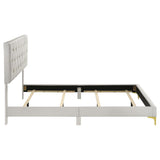 Kendall Upholstered Queen Panel Bed White - 224401Q