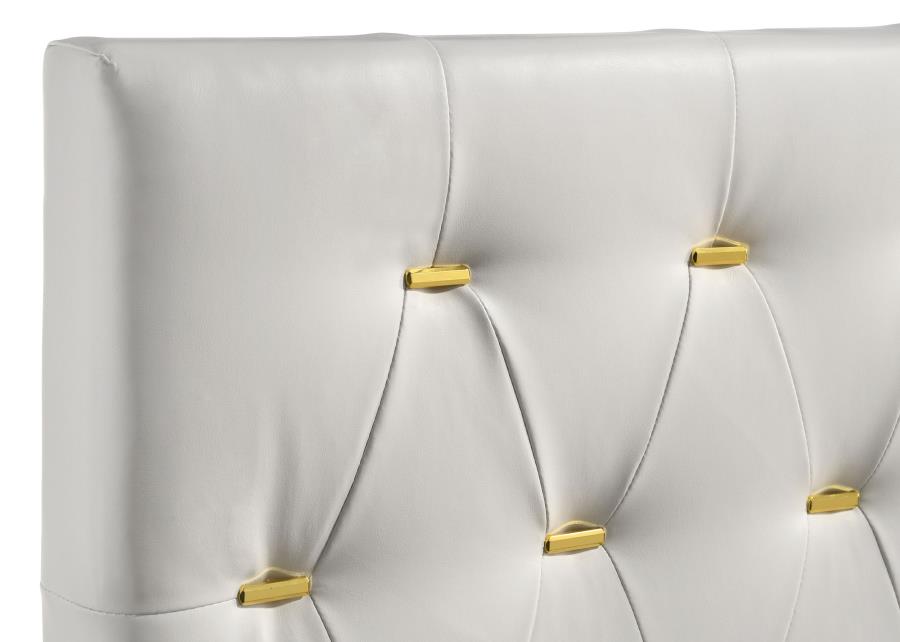 Kendall Upholstered Queen Panel Bed White - 224401Q