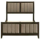 Wilkes 51-inch Upholstered Full Bed Dark Cocoa - 224421F