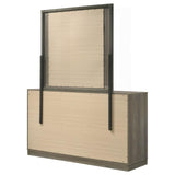 Fenwick 9-drawer Dresser with Mirror Grey Oak - 224983M