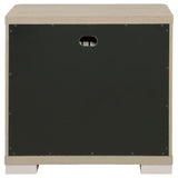 Ladera 2-drawer Nightstand Bedside Table Light Elm - 225082