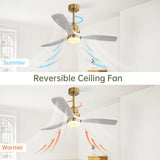 52" Reversible DC Motor Ceiling Fan With Dimmable LED Light, 3 Blades For Living Room,Patio - Gold