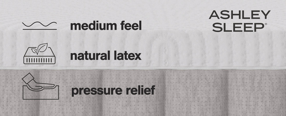 Terra Sleep Medium King Mattress - M52341