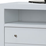 Elegant Transitional Media Chest