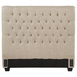 Chloe Upholstered Full Panel Headboard Oatmeal - 300007FB1