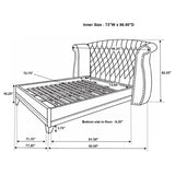 Barzini Upholstered California King Wingback Bed Black - 300643KW