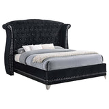 Barzini Upholstered Queen Wingback Bed Black - 300643Q