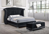 Barzini Upholstered Queen Wingback Bed Black - 300643Q