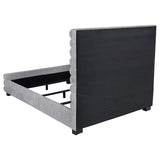 Patricia 58-inch Boucle Upholstered Queen Bed Grey - 300719Q