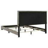Dorian Fabric Upholstered Queen Panel Bed Taupe - 300851Q