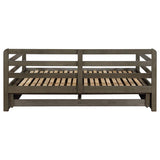 Sorrento 2-drawer Twin XL Daybed with Extension Trundle Grey - 305706