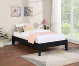 Hounslow Twin Universal Platform Bed Black - 306129T
