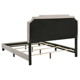 Tamarac Upholstered Full Panel Bed Beige - 310061F