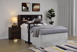 Westpark 49-inch Full Bookcase Headboard Dark Pine - 315881F