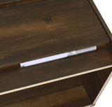 Westpark 2-drawer Nightstand LED Lights and USB Dark Pine - 315882