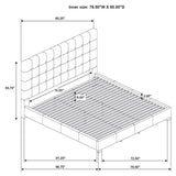Medley Genuine Leather Eastern King Platform Bed Black - 315911BLKKE