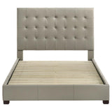 Medley Genuine Leather Queen Panel Platform Bed Tan - 315911TANQ
