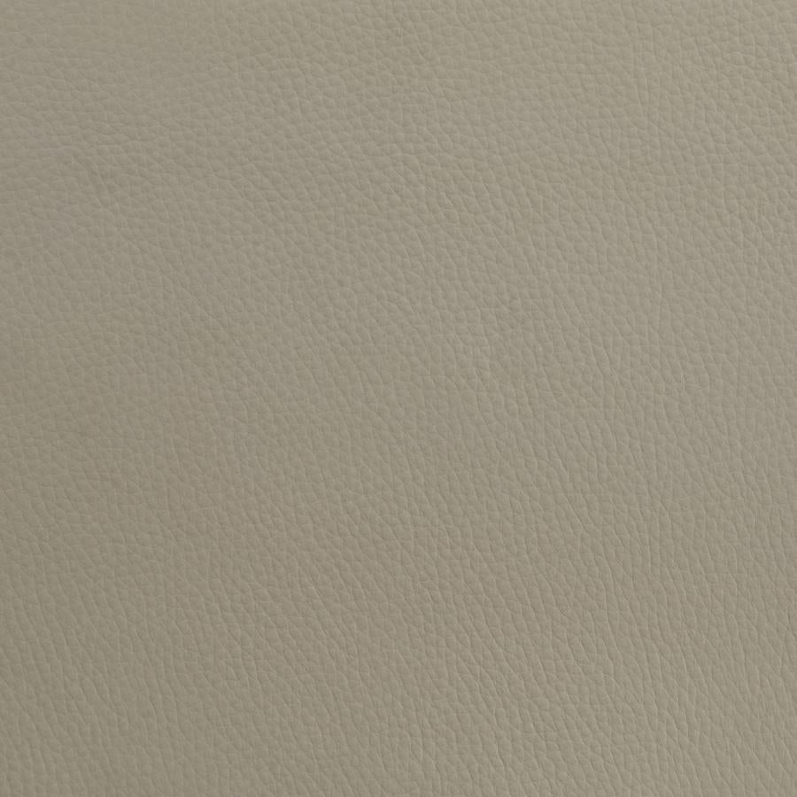 Medley Genuine Leather Queen Panel Platform Bed Tan - 315911TANQ