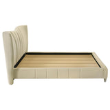 Evelyn Upholstered Queen Panel Platform Bed Ivory - 315956Q