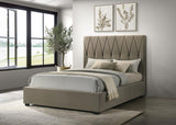 Delsea Upholstered Queen Panel Platform Bed Light Brown - 315975Q