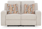 Danum Reclining Loveseat - 3880586