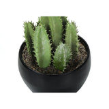 Artificial Succulent Plants (Set of 3)